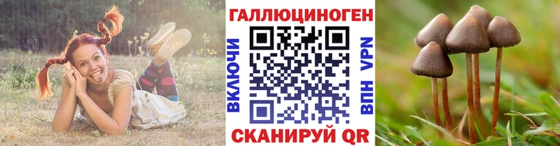 Псилоцибиновые грибы мухоморы блэк спрут онион Свирск